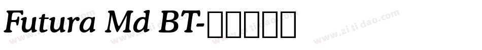 Futura Md BT字体转换
